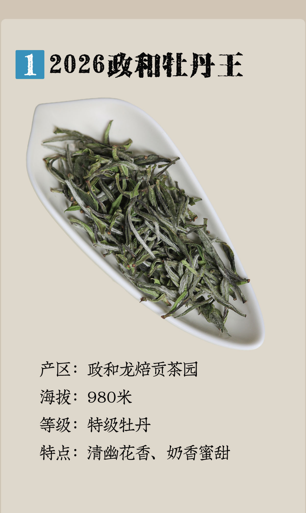 政和白茶详情12001800_05