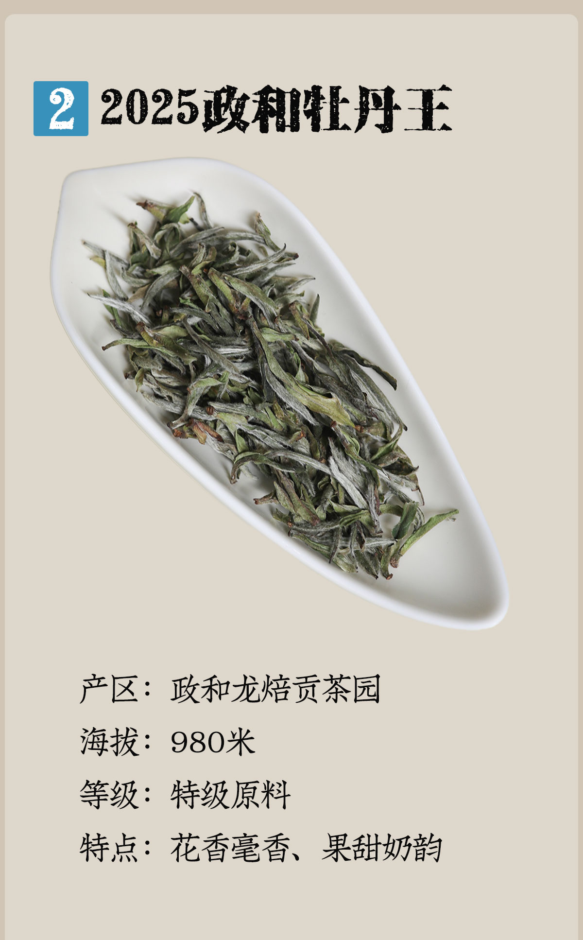 政和白茶详情12001800_07
