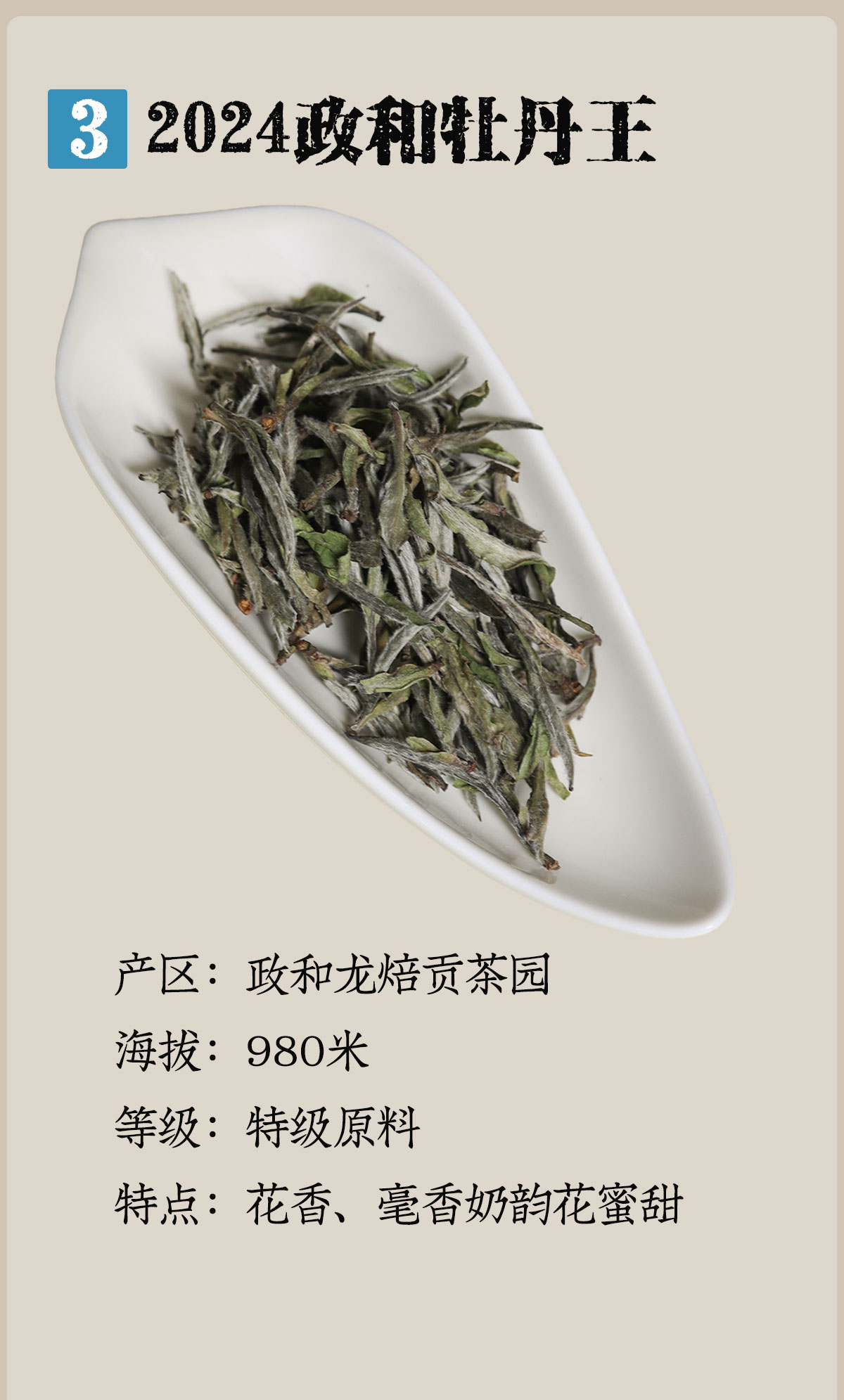 政和白茶详情12001800_09