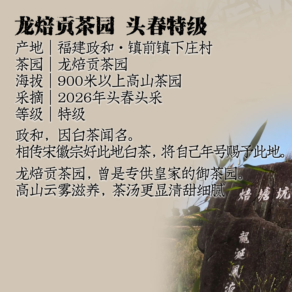 主图页面_03