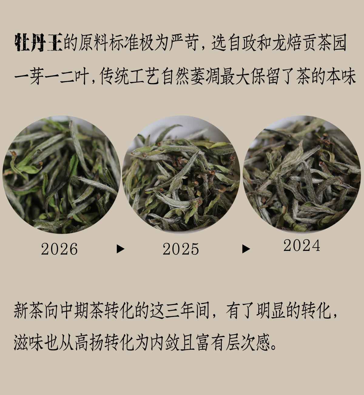 政和白茶详情12001800_04