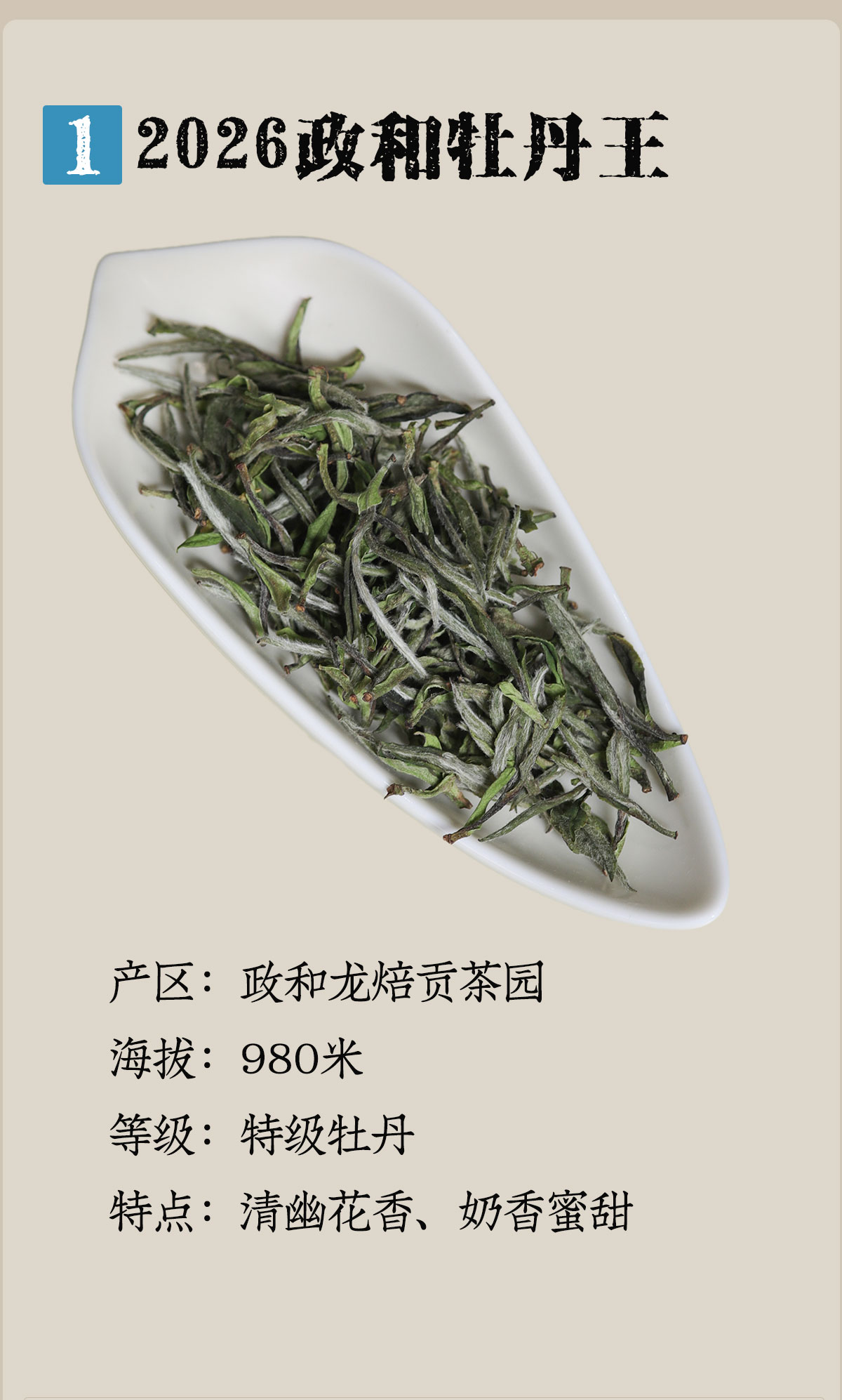 政和白茶详情12001800_05