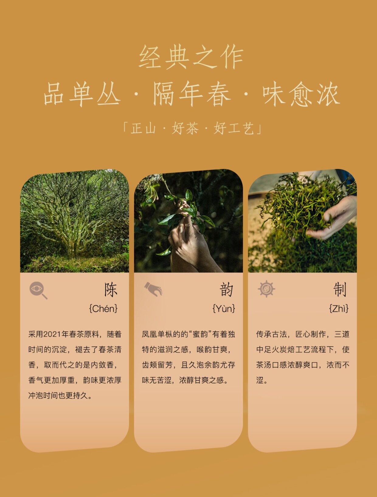 详情图_03