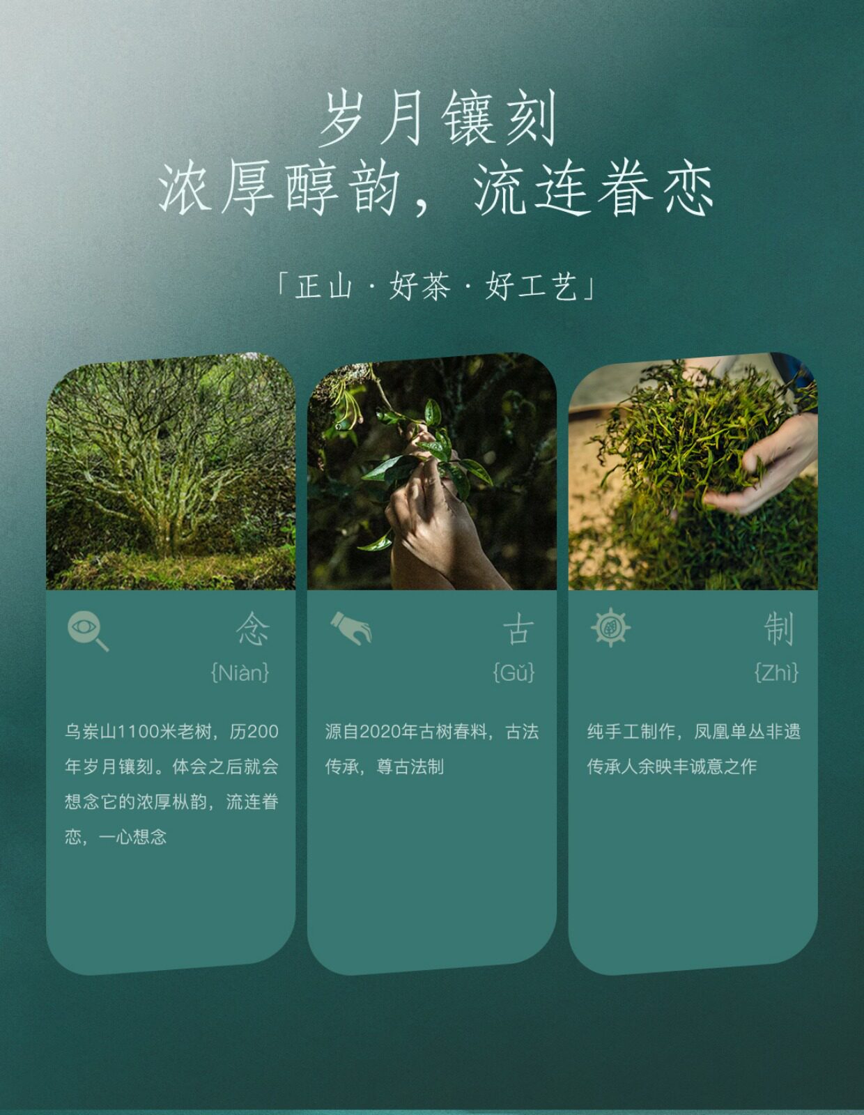 详情图_03