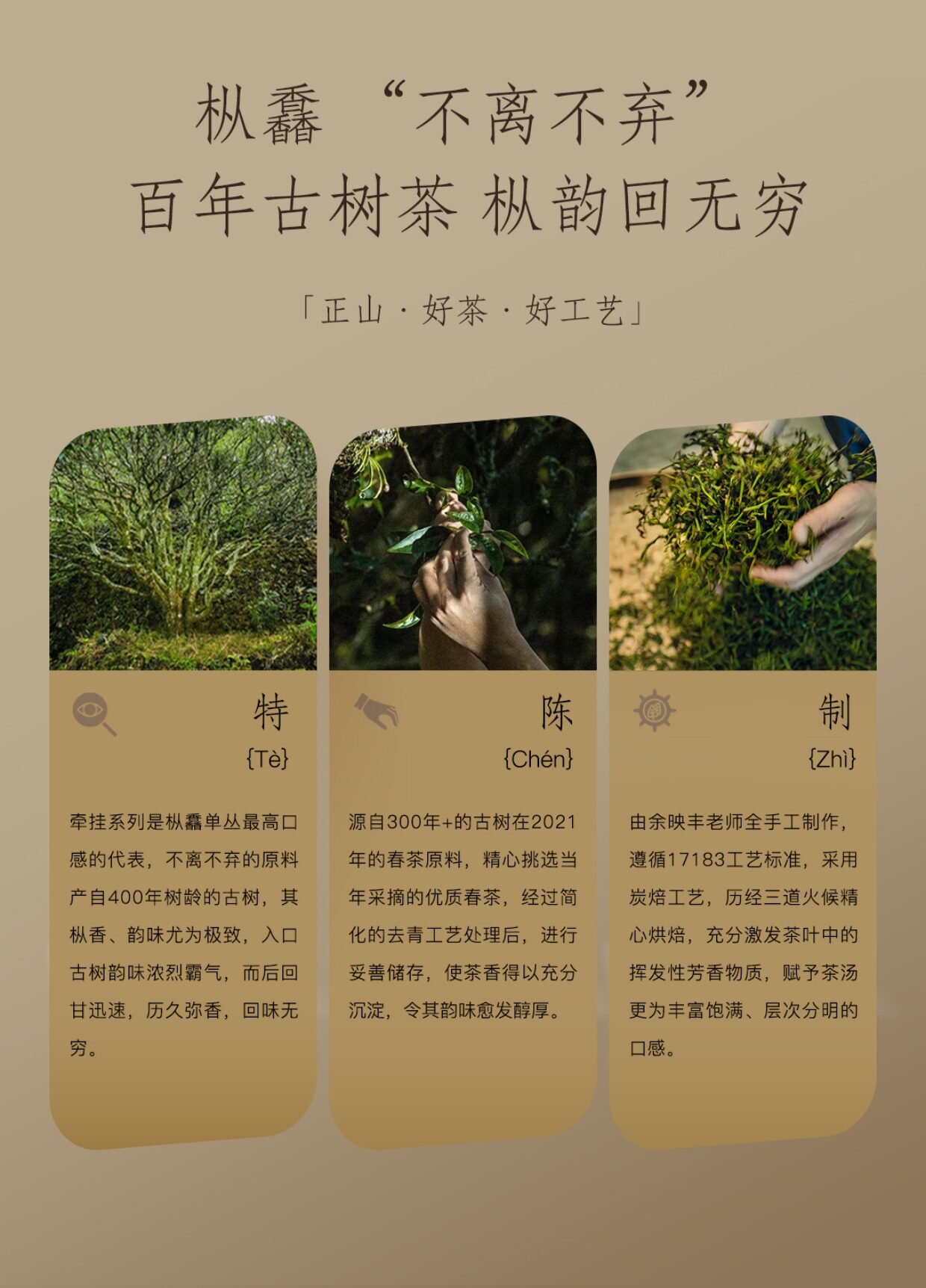 详情图_03