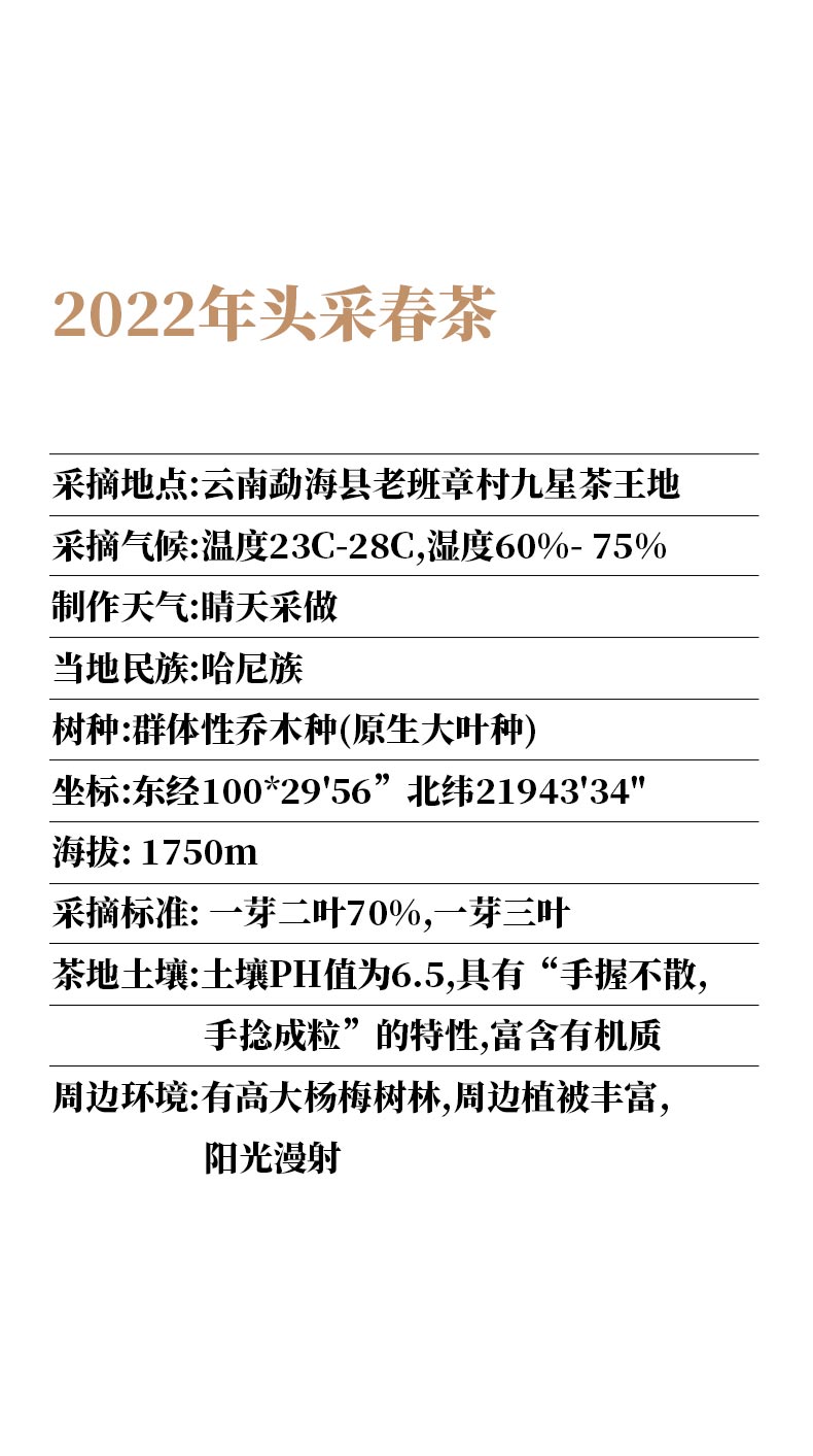 详情2