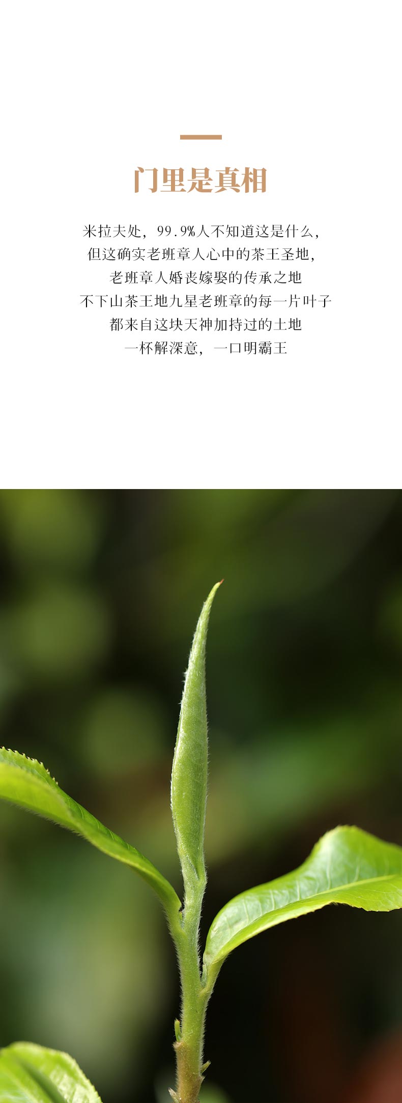 详情7