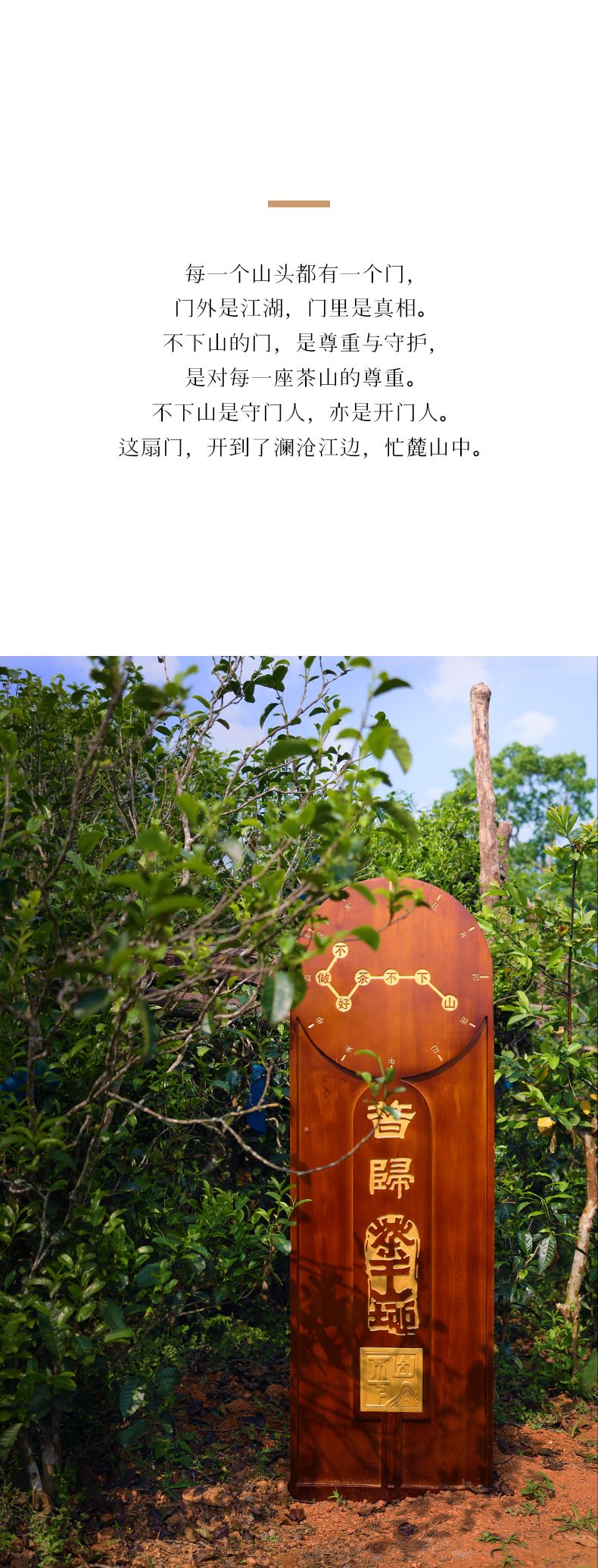 详情4