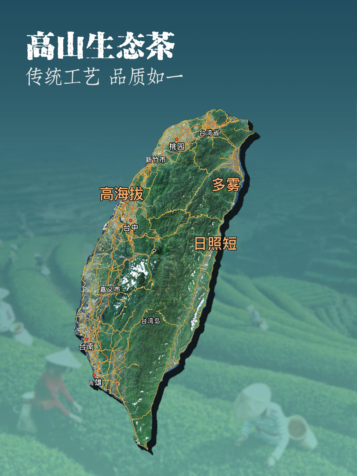 详情页分割线样式_10