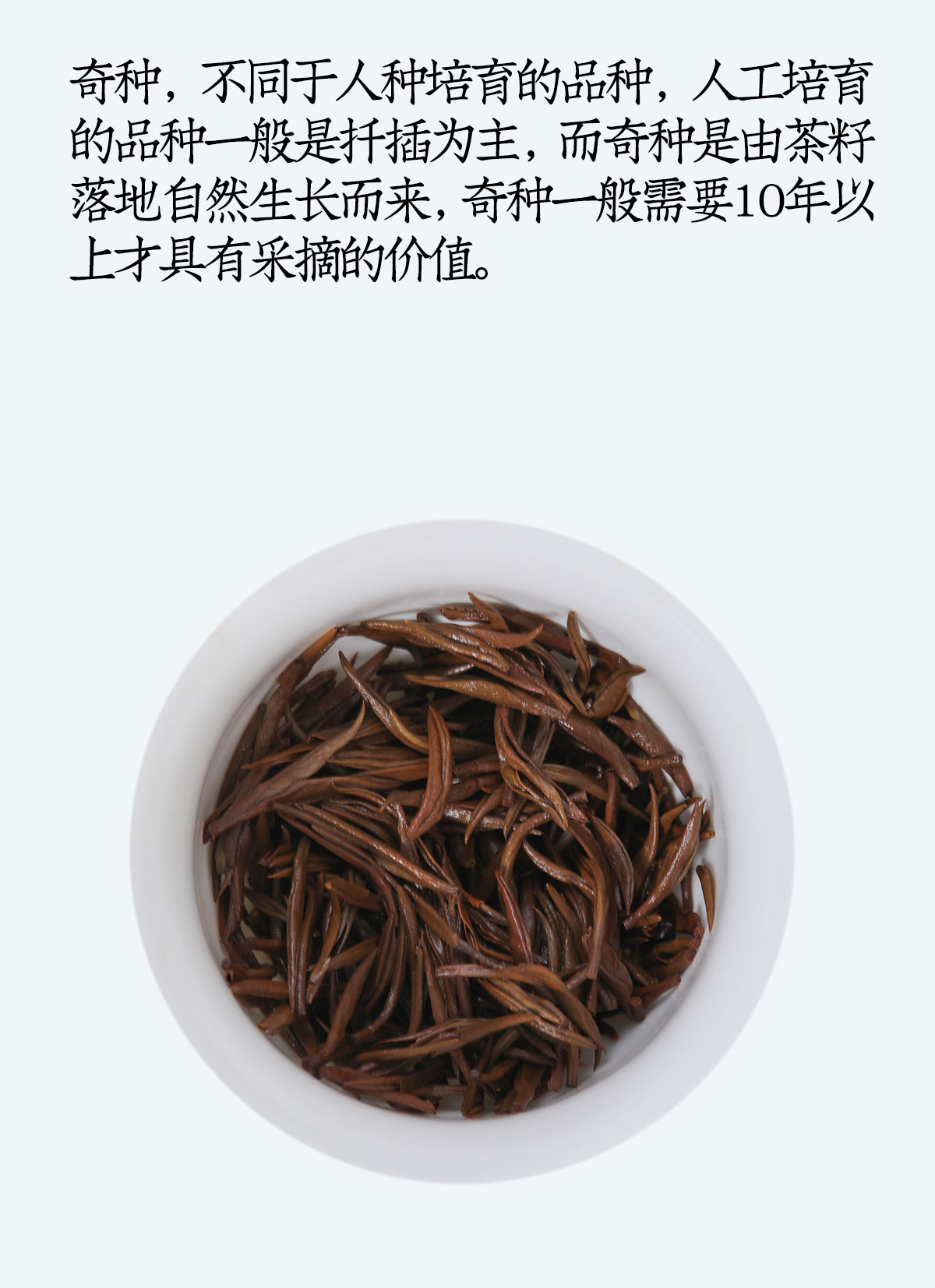奇种金骏眉详情_10