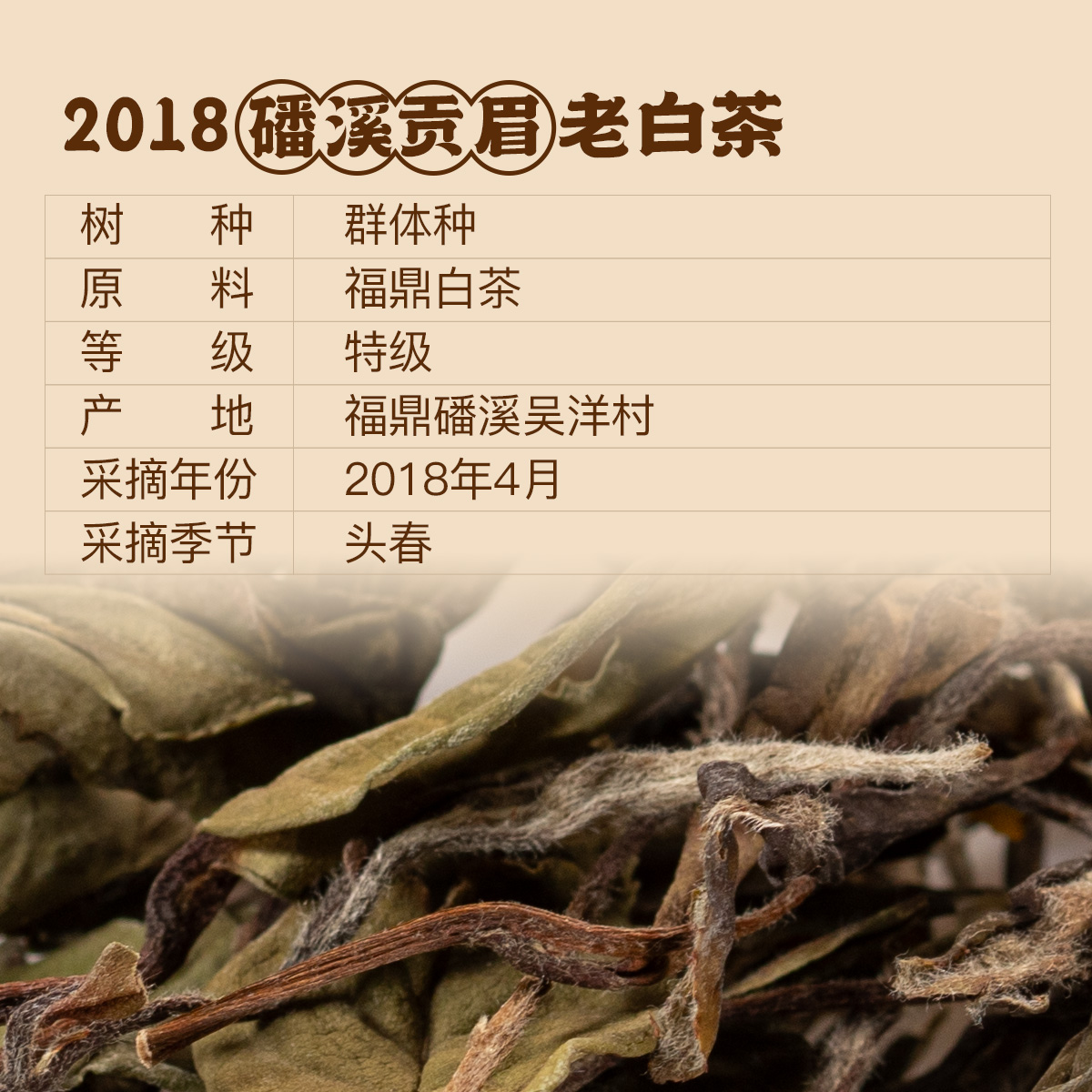 信息