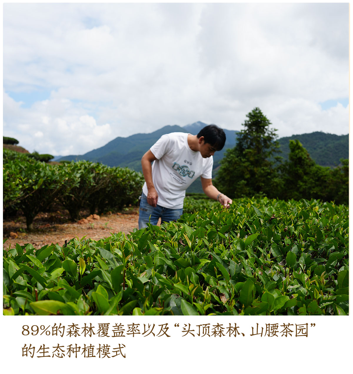 高丛_04