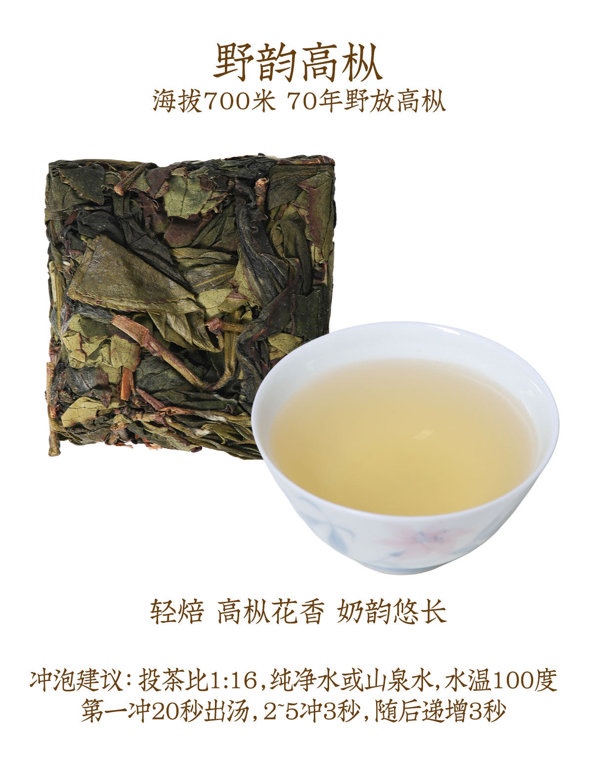 高丛_11