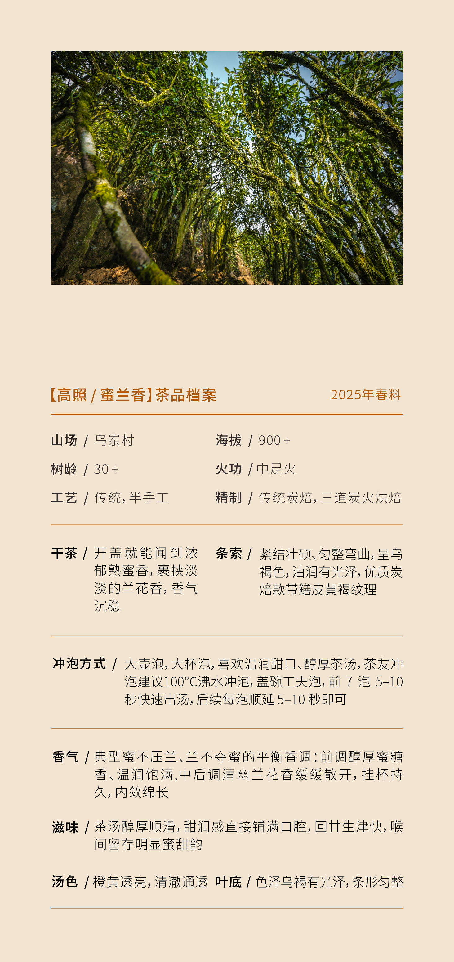 福照详情5