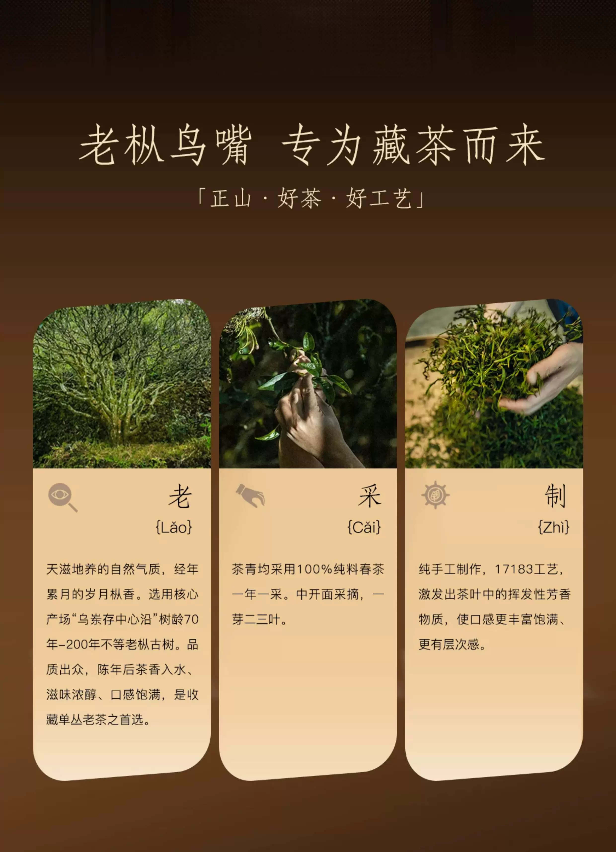 详情图_03