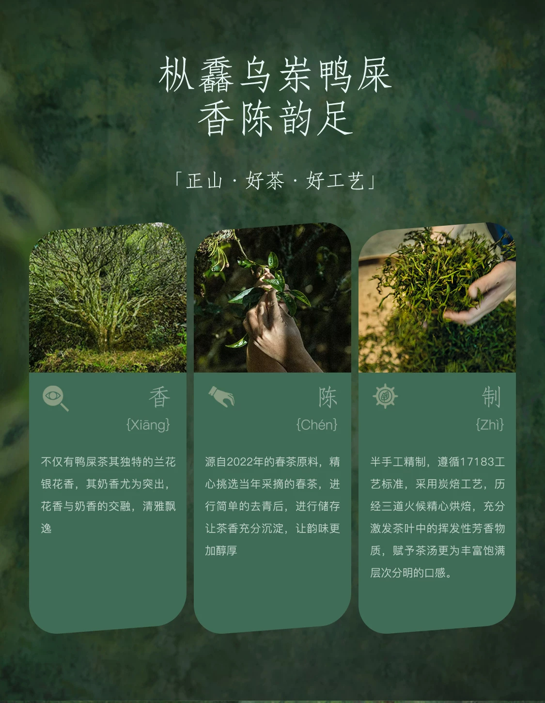 详情图_06
