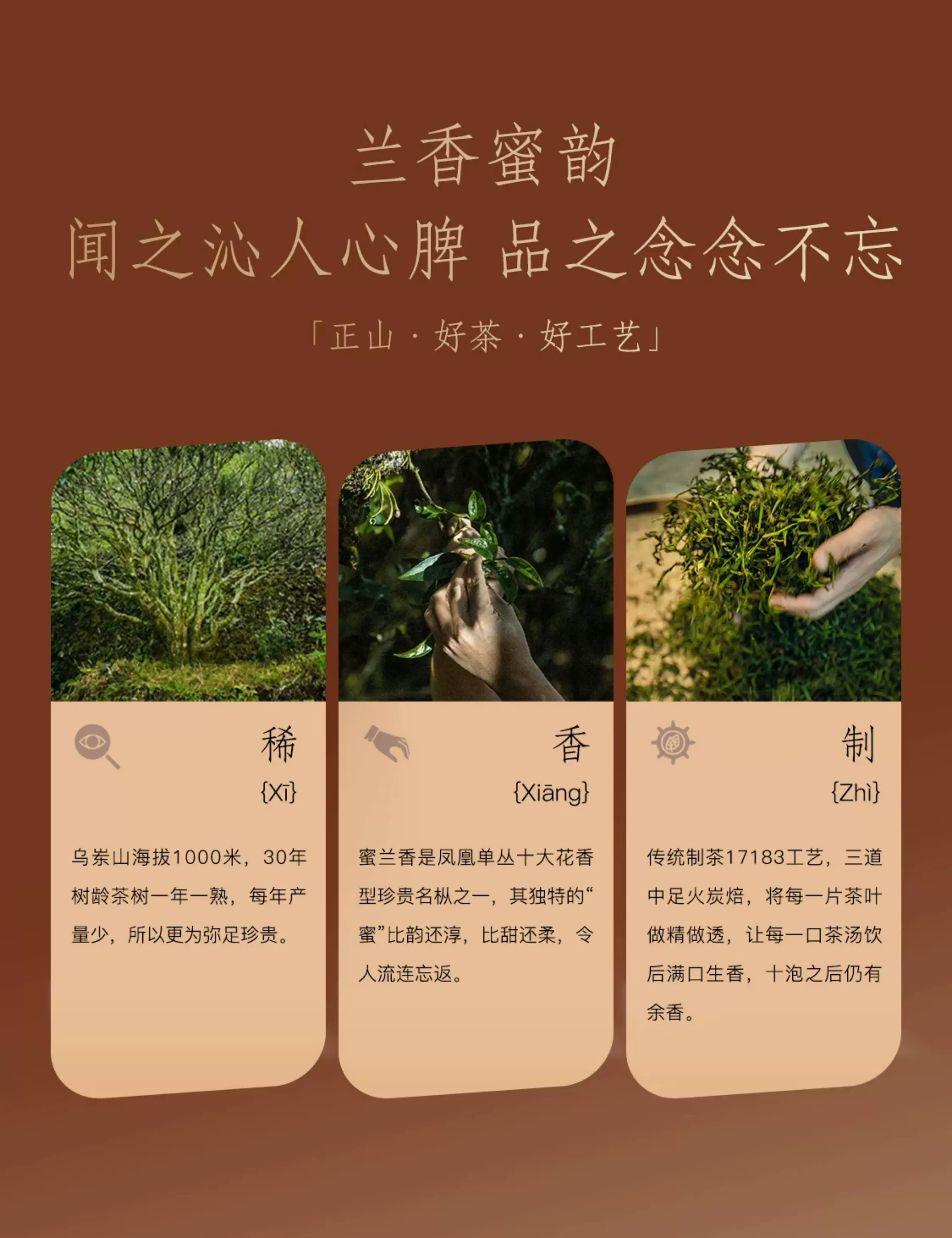 详情图_03