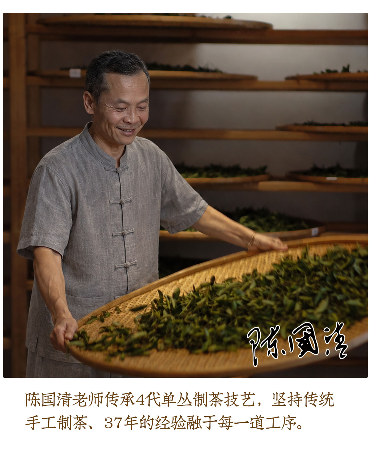 单丛详情_05