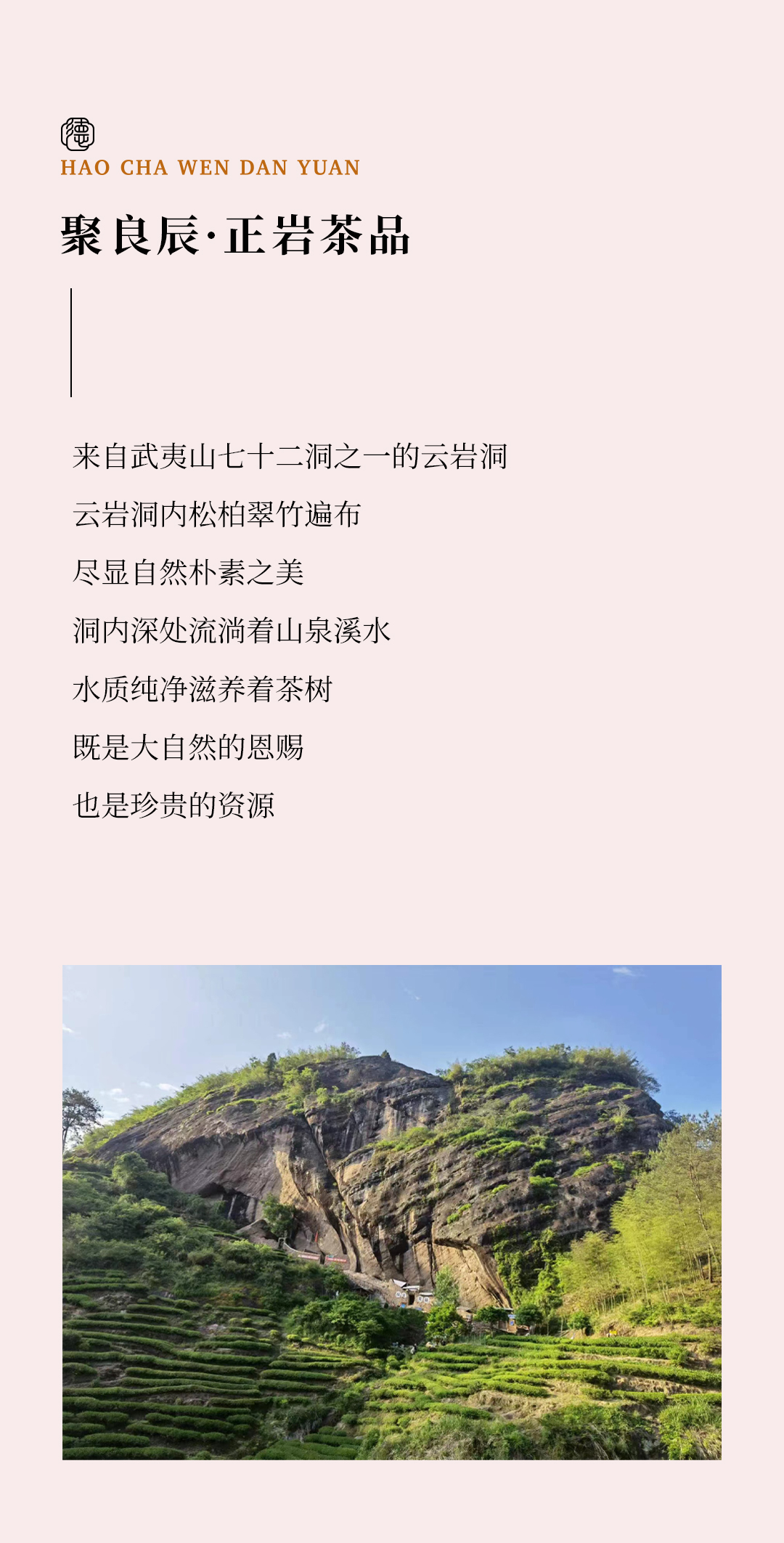 聚良辰详情4