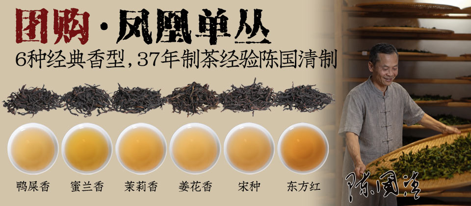 茶样领取:限购1 凤凰单丛团购6种经典香型 凤凰山乌岽山500-900米高山茶区
